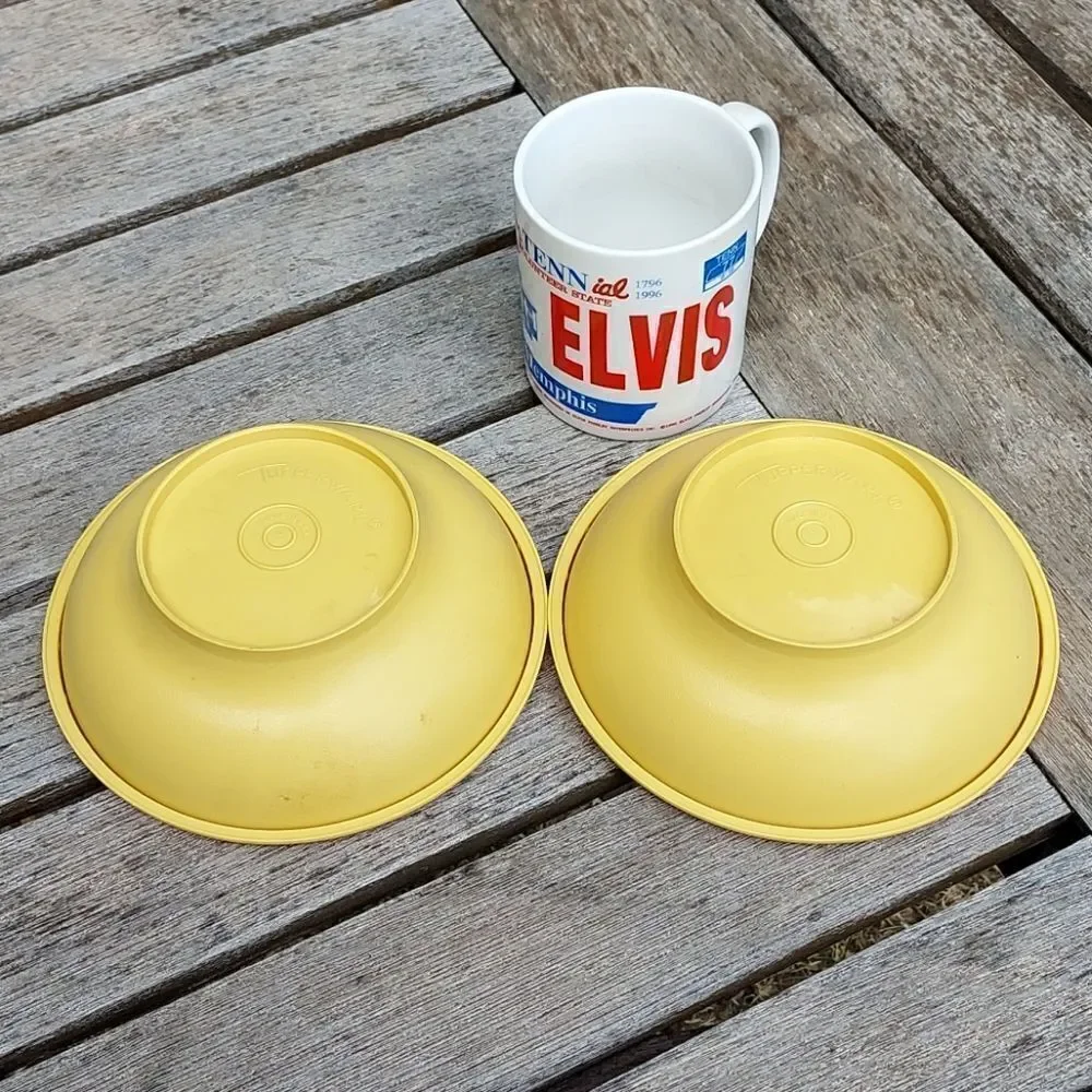 Vintage Pair Tupperware Bowls with lids